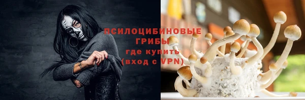 бошки Абаза